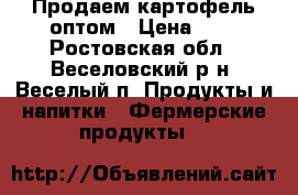 Продаем картофель оптом › Цена ­ 8 - Ростовская обл., Веселовский р-н, Веселый п. Продукты и напитки » Фермерские продукты   